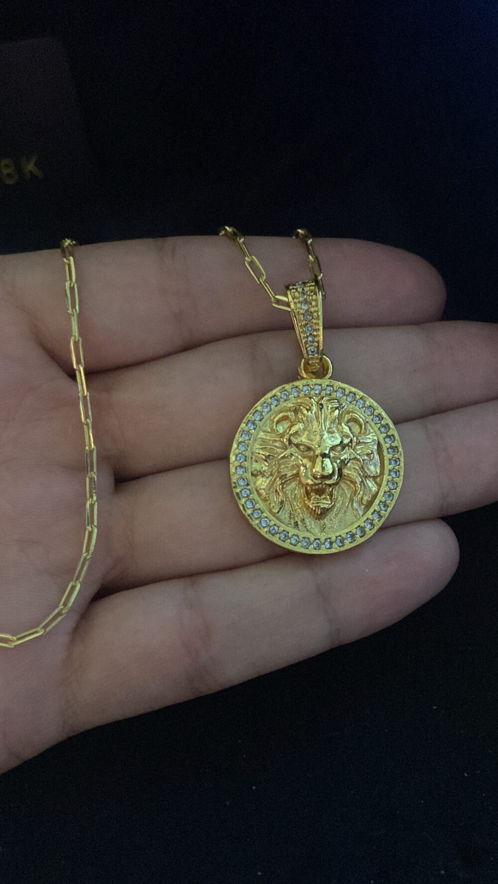 Cordão Cad Alongado 1Mm + Pingente Leão - Banhado A Ouro - Imagem 2