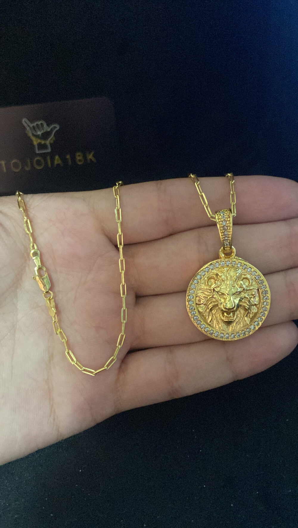 Cordão Cad Alongado 1Mm + Pingente Leão - Banhado A Ouro - Imagem 3