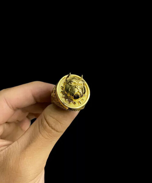 Anel Ajustável Pitbull Poze - Banhado a Ouro 18k