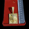 Pingente Leao Placa Banhado A Ouro 18K 2