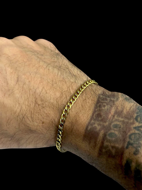 15365912970 Imgi 16 Pulseira Pit Bull 2Mm4 7C1087D2D1C1Cdbd3F17534528251541 480 0